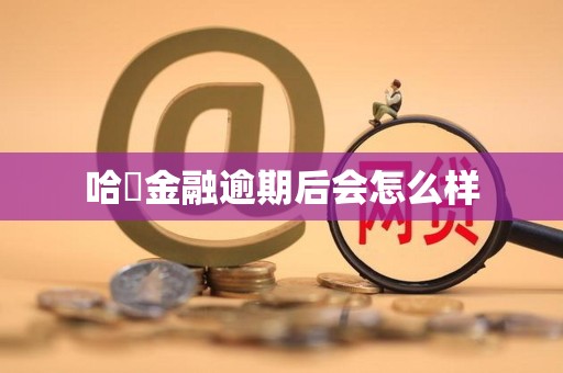 哈啰金融逾期后会怎么样